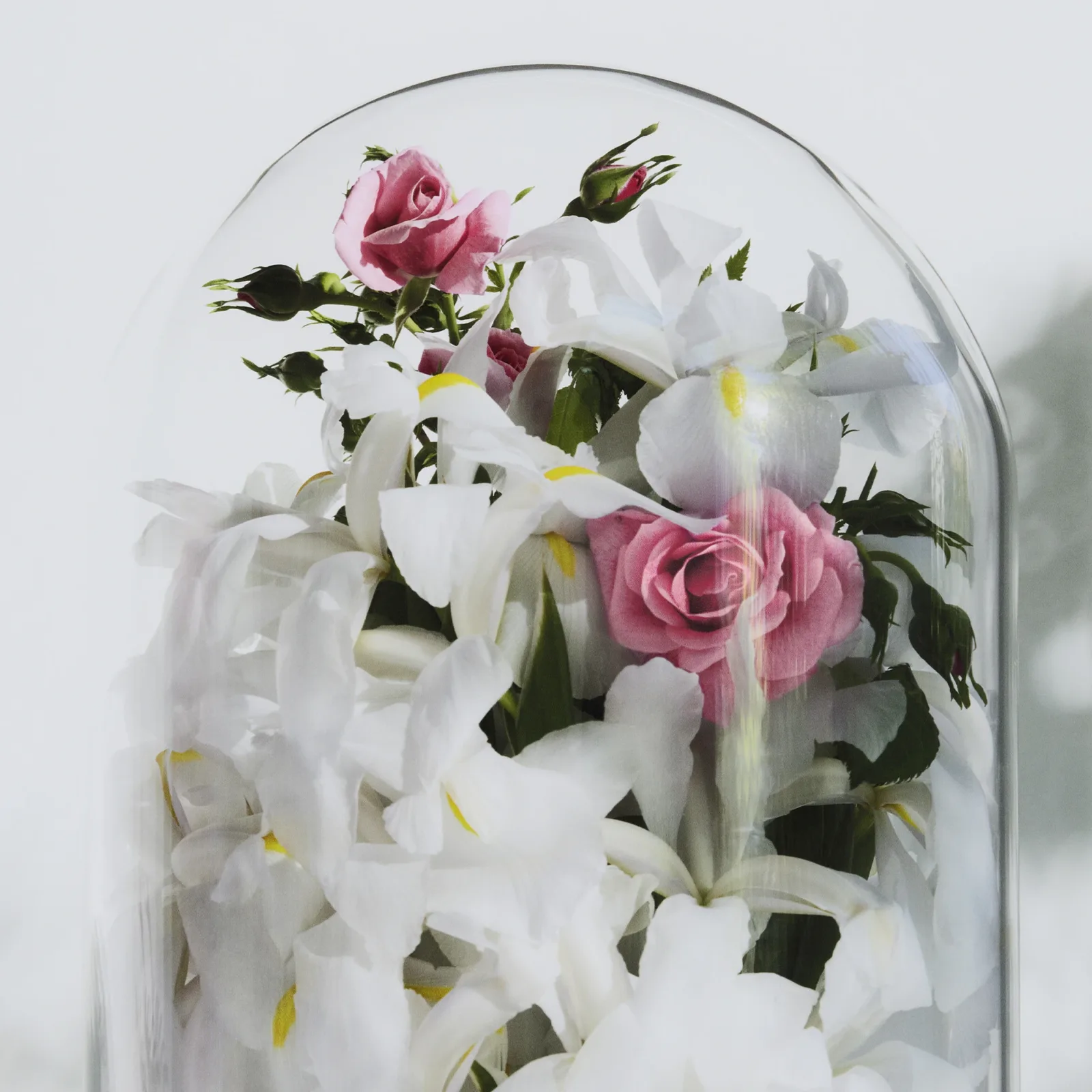 Love Print Perfume - 2